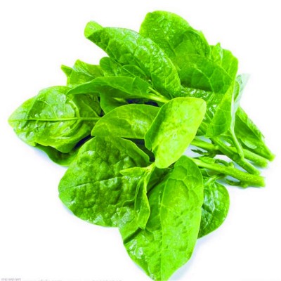 Rau mồng tơi Rau mồng tơi