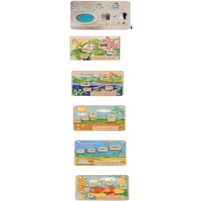 Bộ làm quen STEM lĩnh vực khoa học hiện tượng sinh học gồm vòng đời của con người, bướm, ếch, thực vật, cá, ong; kèm bộ giáo án hoạt động trải nghiệm thực hành và video hướng dẫn.